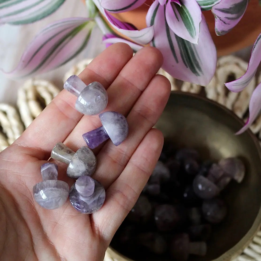Mini Crystal Mushrooms, Amethyst